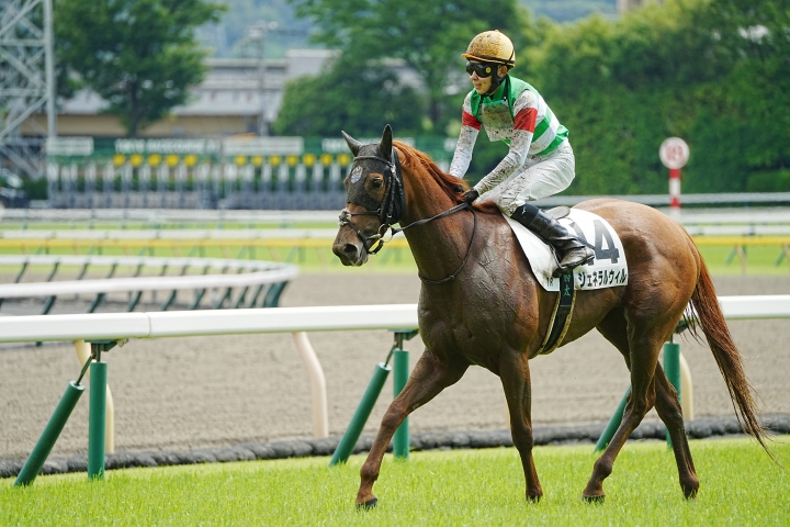 2023/6/3 3歳以上1勝クラス ジェネラルウィル