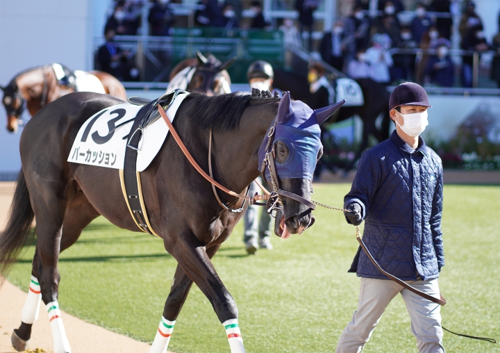 2021/12/18 2歳未勝利 パーカッション