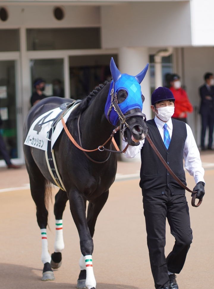 2022/3/13 3歳1勝クラス パーカッション
