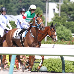 福島1勝クラス　馬場入り