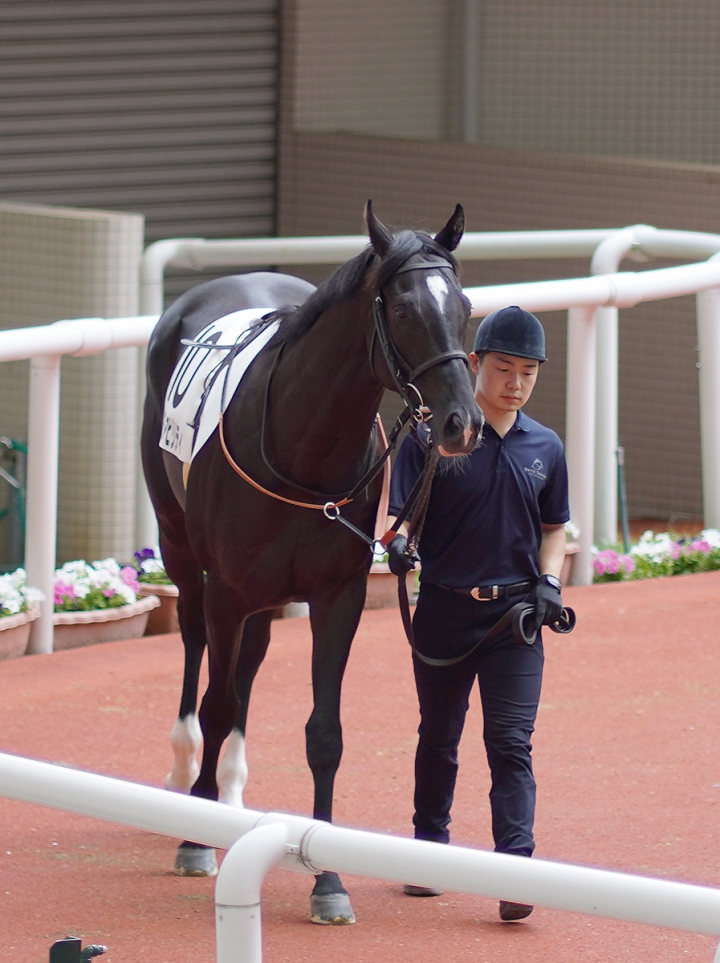 2021/6/27 2歳新馬 キラーアビリティ