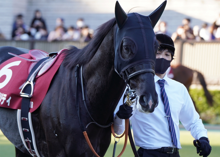 2022/11/6 アルゼンチン共和国杯(G2) キラーアビリティ