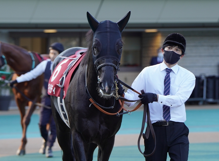2022/11/6 アルゼンチン共和国杯(G2) キラーアビリティ
