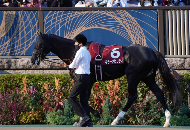 2022/11/6 アルゼンチン共和国杯(G2) キラーアビリティ