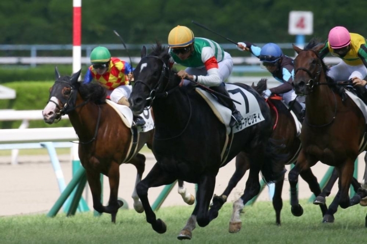 2021/8/28 2歳未勝利 キラーアビリティ