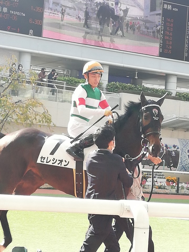 新馬戦 セレシオン
