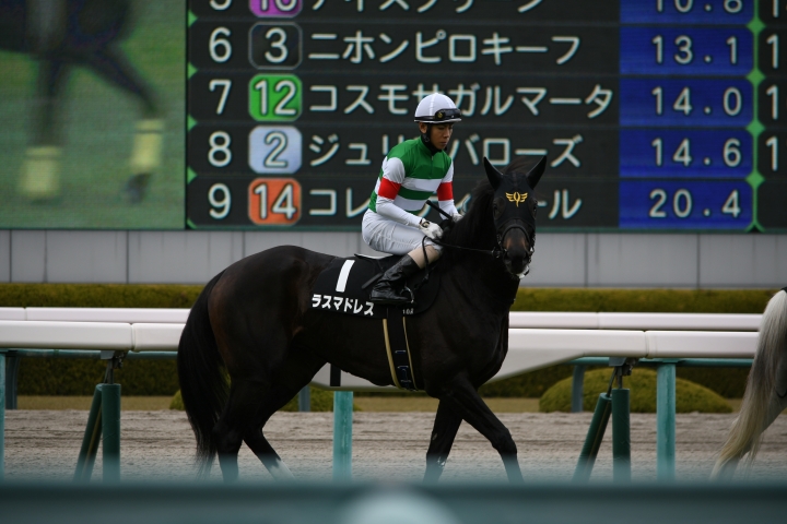 本馬場入場　 ラスマドレス