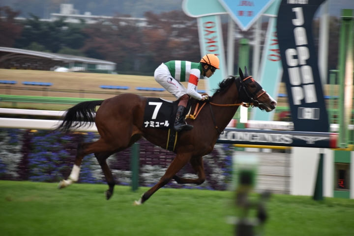 2021年11月 ナミュール