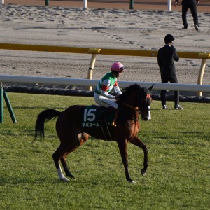 2023/2/5 東京新聞杯(G3)