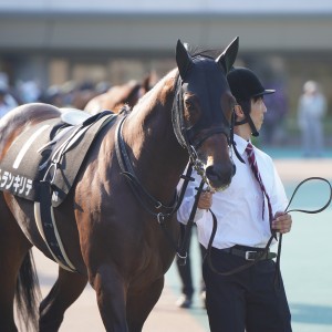 2023/10/28 紅葉S(3勝クラス)