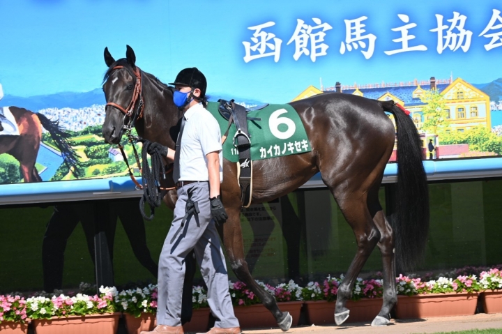 2021/7/17 函館2歳S(G3) カイカノキセキ