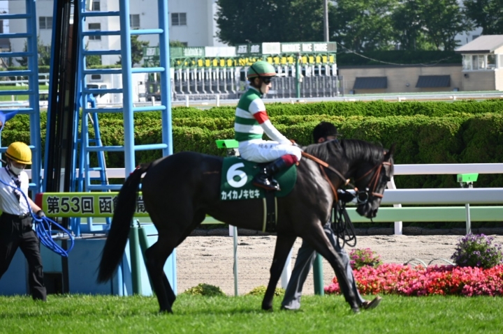2021/7/17 函館2歳S(G3) カイカノキセキ