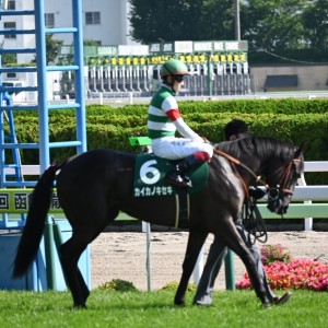 2021/7/17 函館2歳S(G3)