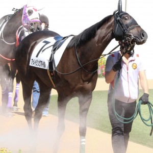 2021/9/19 2歳新馬