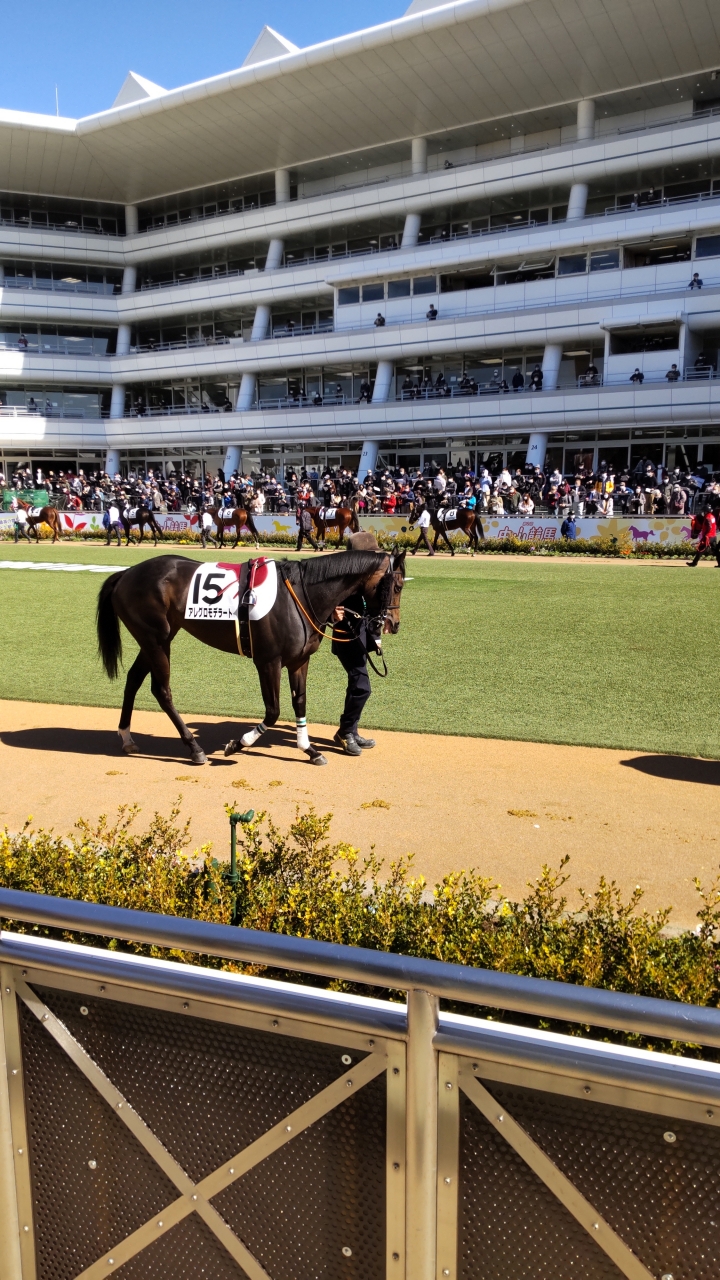 2022/2/26 3歳未勝利(牝) アレグロモデラート