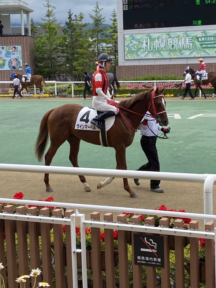 新馬戦‼️ ウインマーベル