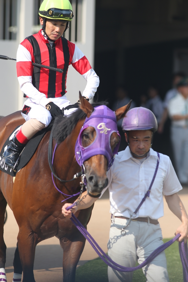 2024/9/8 セプテンバーS(3勝クラス) ウインモナーク
