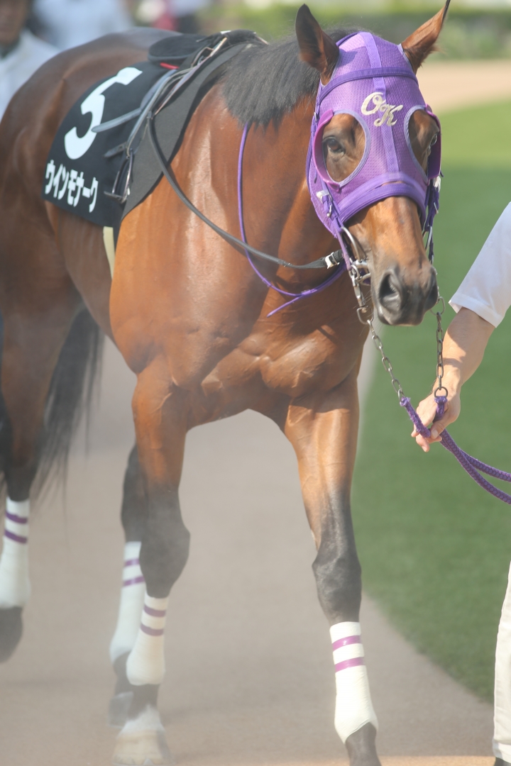 2024/9/8 セプテンバーS(3勝クラス) ウインモナーク