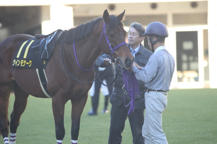 2025年12月 ウインモナーク