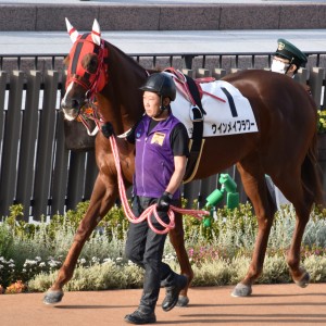 18戦目パドック