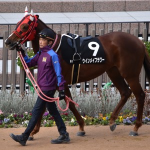 21戦目パドック