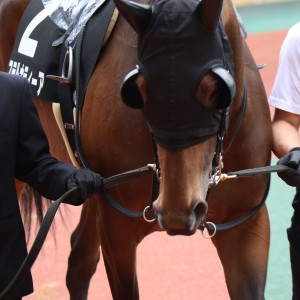 2024/3/17 熱田特別(2勝クラス)