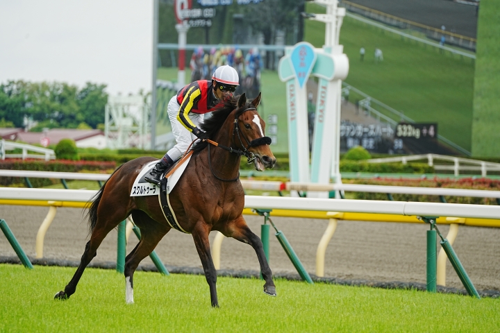 2023/6/3 3歳以上1勝クラス スクルトゥーラ