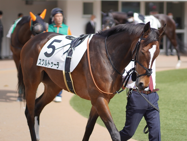 2022/3/13 3歳1勝クラス スクルトゥーラ