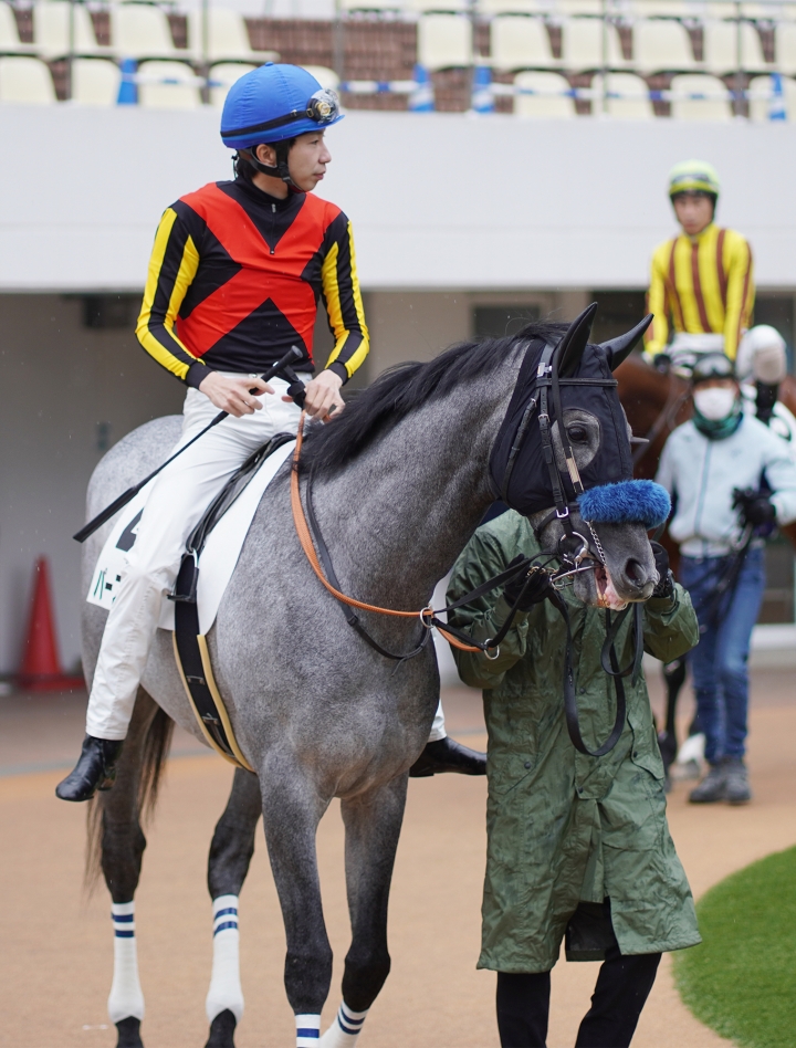 2022/4/3 3歳未勝利 パープライト