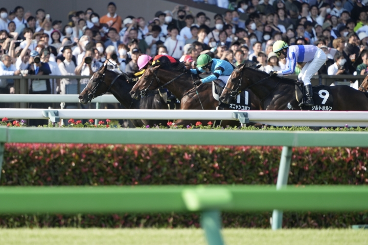 2024/5/18 メイS(OP) プレサージュリフト