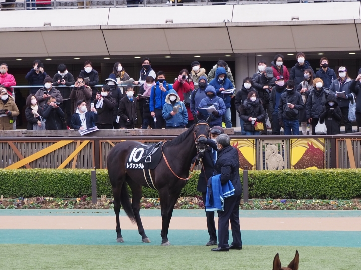 2022年2月 レヴァンジル