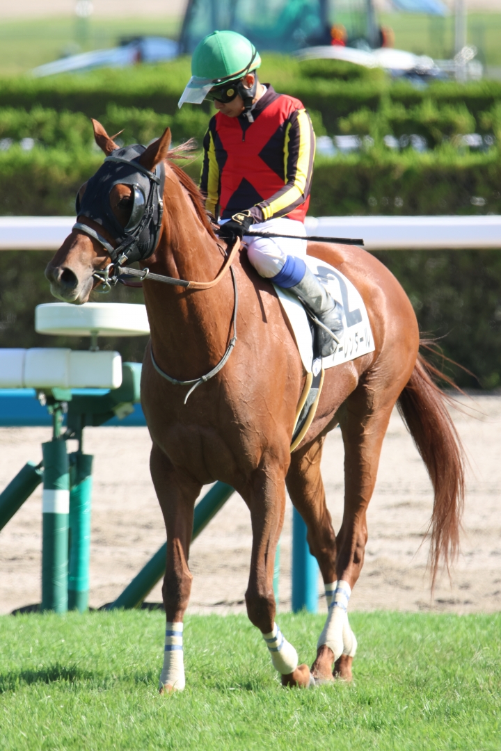 2024/10/20 3歳以上2勝クラス(牝) アーレンダール