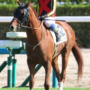 2024/10/20 3歳以上2勝クラス(牝)