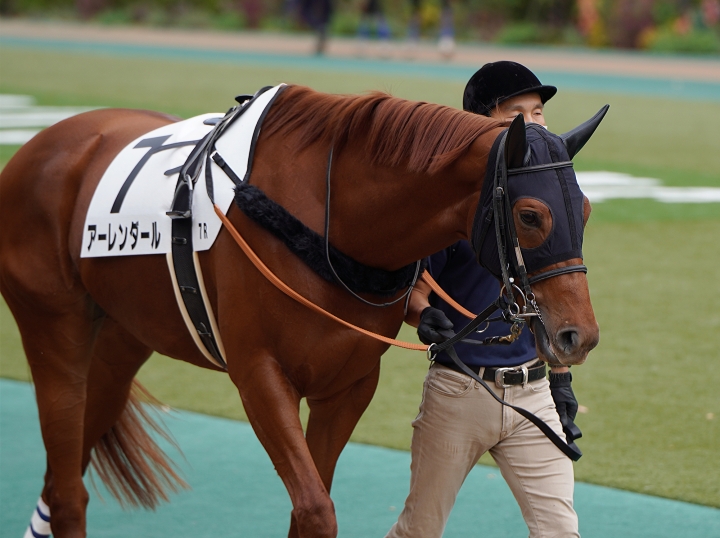 2022/11/13 3歳以上1勝クラス アーレンダール