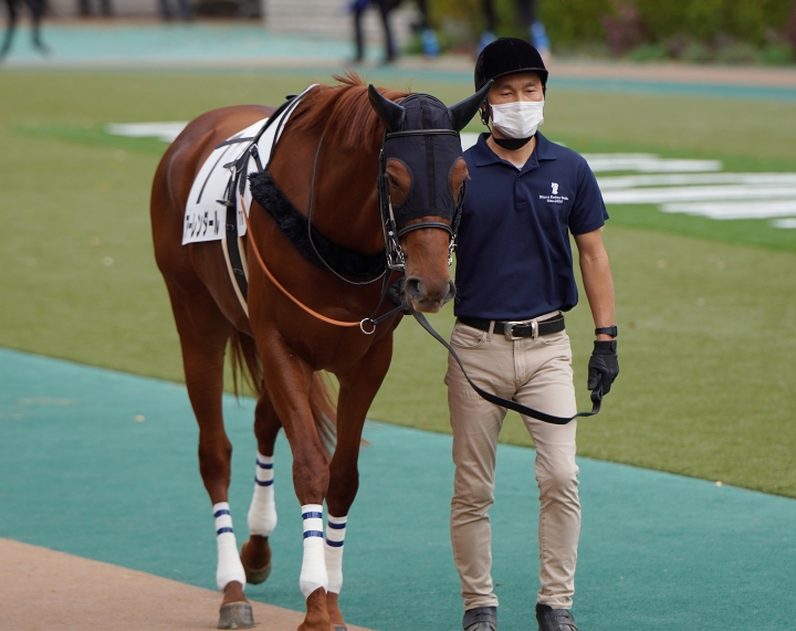 2022/11/13 3歳以上1勝クラス アーレンダール