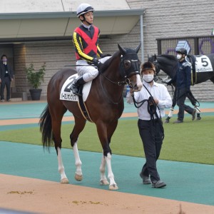 2021年11月