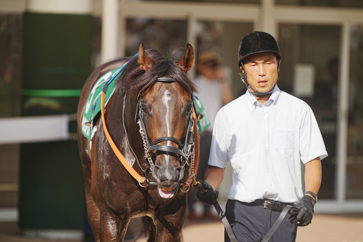 2023/9/10 京成杯オータムH(G3) インダストリア