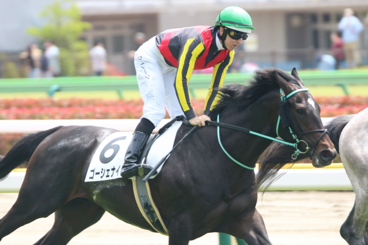 2022年5月 ゴーシェナイト