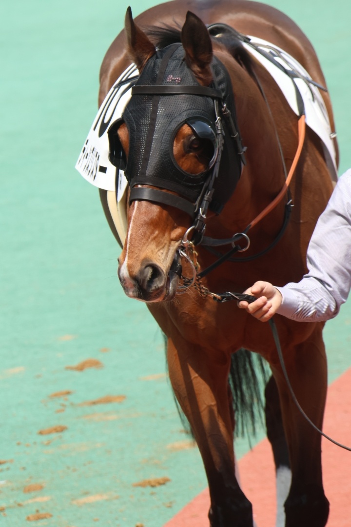 2026/3/29 4歳以上1勝クラス ディーンズリスター