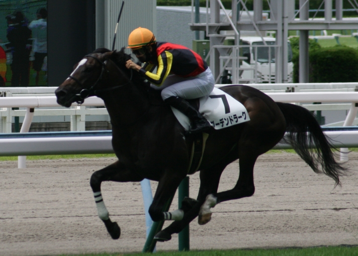 ２歳新馬　ゴール前 グーデンドラーク