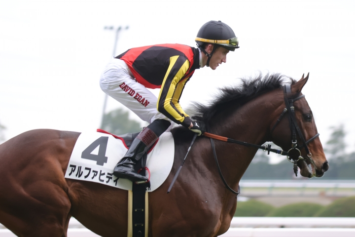 2023年1月 アルファヒディ