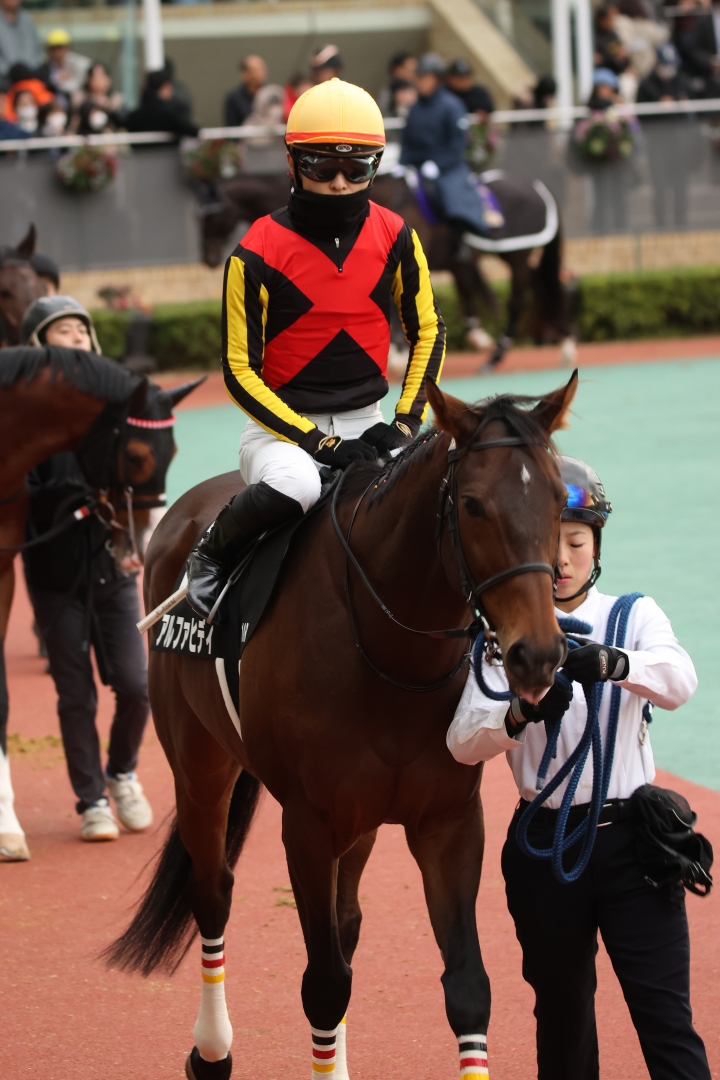 2024/12/7 鳴海特別(2勝クラス) アルファヒディ