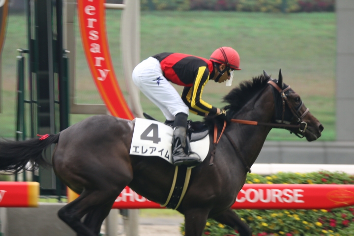 メイクデビュー エレアイム