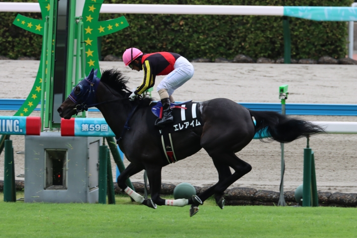 2024年6月 エレアイム