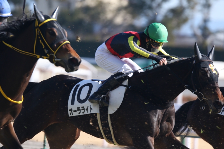 2022年1月 オーラライト