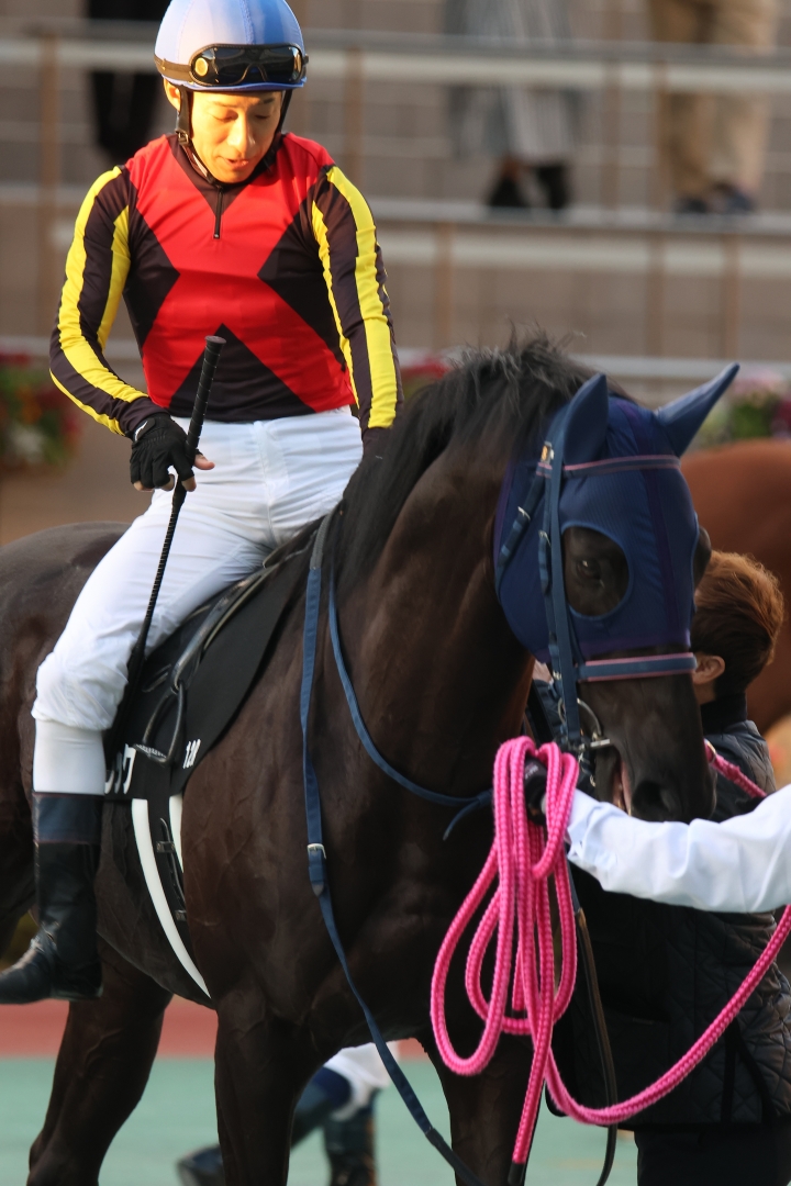 2024/12/1 栄特別(1勝クラス) アメジストブラック