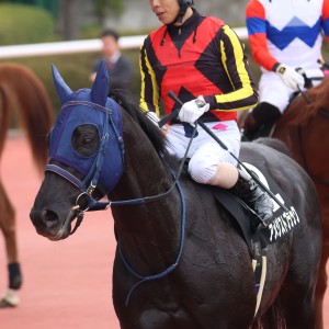 2025/4/12 明石特別(2勝クラス)