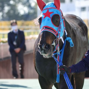 2023/2/5 4歳以上1勝クラス