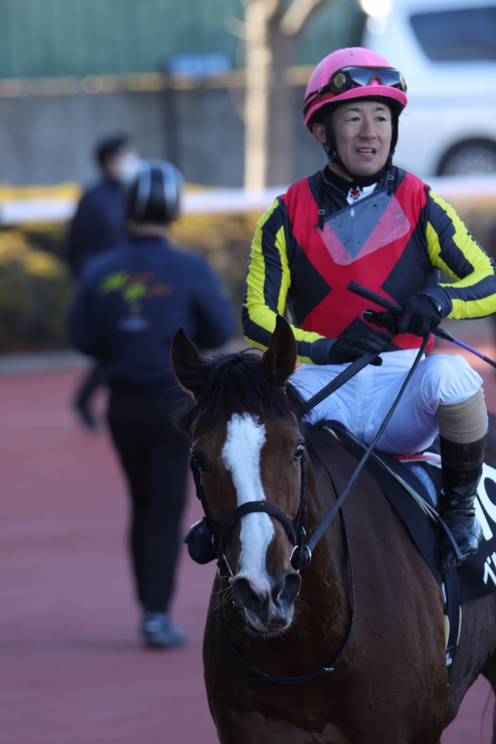 2023/12/17 六甲アイランドS(3勝クラス) ベルクレスタ
