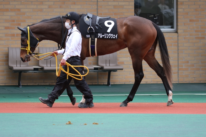 2023年3月 アルーリングウェイ